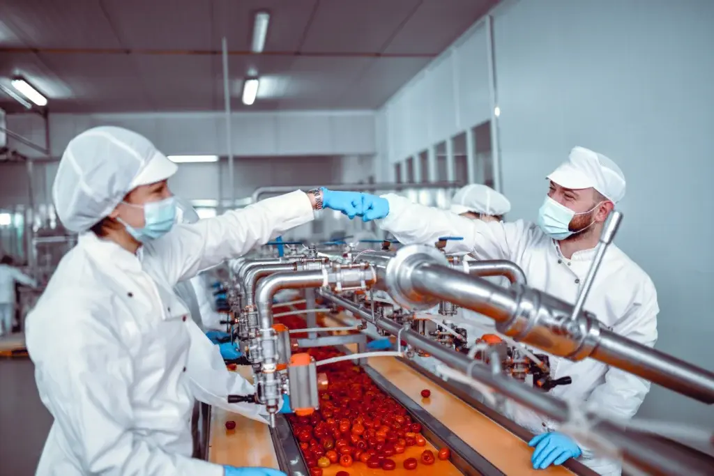 Example of food processing workers operating equipment in a facility designed with antimicrobial protective coatings.